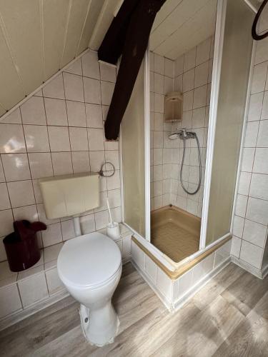 a bathroom with a toilet and a shower at Zum ehemaligen Kaffeekännchen in Funfseen