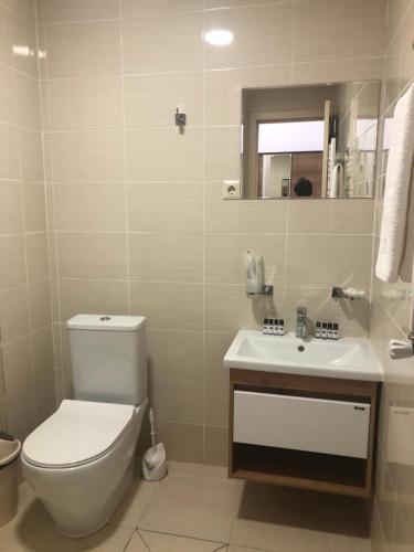 a bathroom with a toilet and a sink at Wald Hotel Lagodekhi in Lagodekhi
