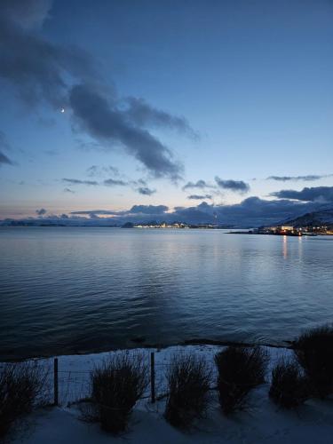 a view of a large body of water at Bright and modern apartment with beautiful view in Hammerfest
