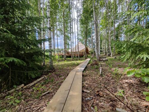 a wooden path through a forest with a yurt in the background at Käkiniitty Glamping Cuckoo Camp in Tammela