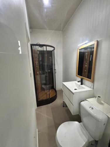 une salle de bain avec toilettes, douche et lavabo dans l'établissement petit Muguet, à Avignon