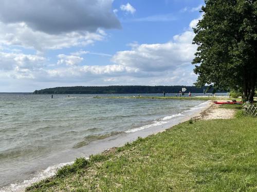 a beach with people in the water and a tree at Zum ehemaligen Kaffeekännchen in Funfseen