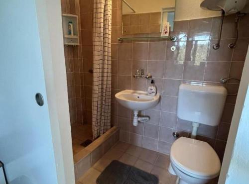 a bathroom with a toilet and a sink at Holiday Home Aldo in Rogač