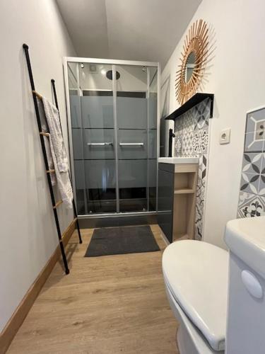 une salle de bain avec une douche en verre et des toilettes dans l'établissement GITE EQUESTRE DE LA LANDE, à Bréhal