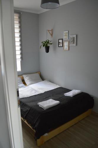 Katil atau katil-katil dalam bilik di Balaton Apartamenty