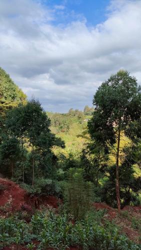 Fotografie z fotogalerie ubytování MollyAnne studio v destinaci Nairobi