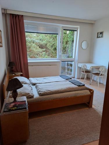 a bedroom with a bed and a window and a table at Apartmán s terasou in Olomouc