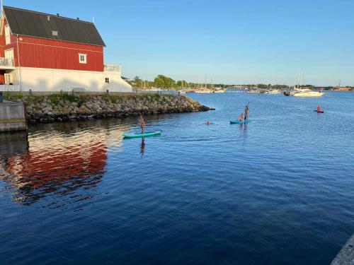 a group of people on paddle boards in the water at Luxury Holiday Home With Sea View in Gråsten