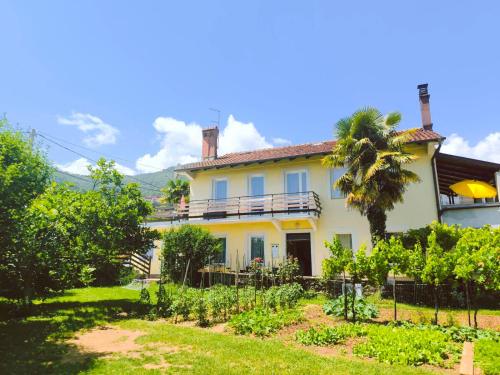 Studio apartment Puzich