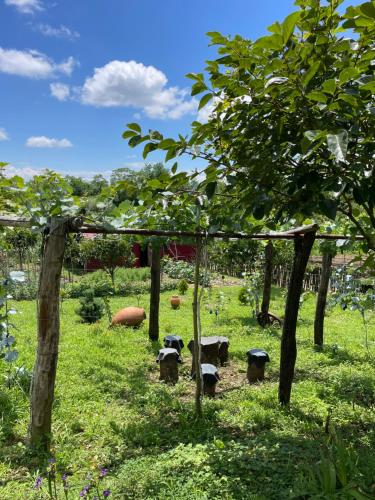 a garden with a bunch of trees in a field at Kirta in Gordi
