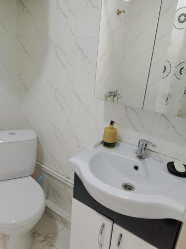 a white bathroom with a toilet and a sink at Rubina Bed and Breakfast in Tatʼev