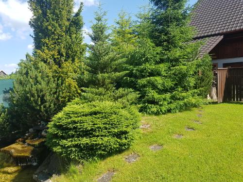 a garden with trees and grass and a house at Drevenica Vitanová in Vitanová