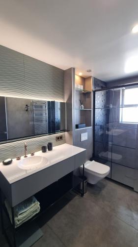 une salle de bain avec un lavabo et des toilettes dans l'établissement Lux- apparemment à Marina baie des Anges -vue de la mer, à Villeneuve-Loubet