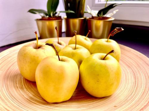 Toit apartemendi aladel või selle läheduses