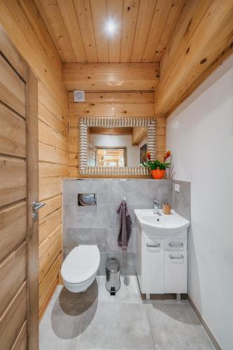 a bathroom with a toilet and a sink at Leśny Zakątek Jurków in Jurków