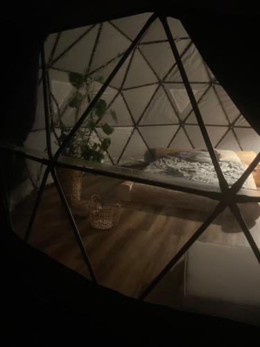a room with a bed and a potted plant at Lepiej trafić nie mogliście in Mieroszów