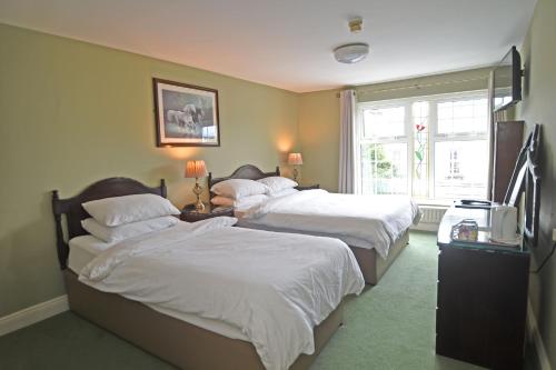 a bedroom with two beds and a television at Clooneen House in Westport