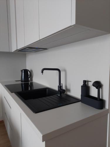 Kuchyň nebo kuchyňský kout v ubytování Apartman Zoku s private garage parking free