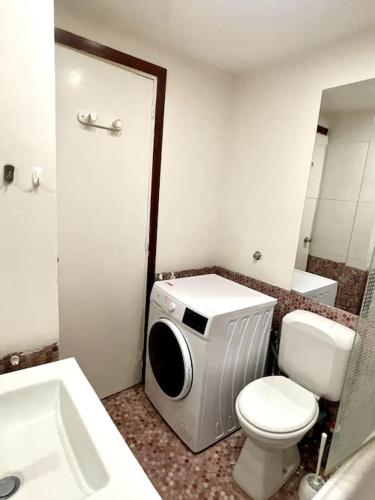 La salle de bains est pourvue de toilettes et d'un lave-linge. dans l'établissement Anthony's Residence, à Paris