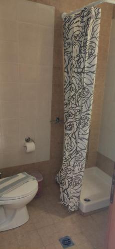 a bathroom with a toilet and a shower curtain at Kiparissis Apartments in Kriopigi