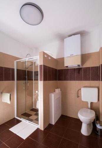 a bathroom with a toilet and a glass shower at Panoráma Ház Orfű in Orfű