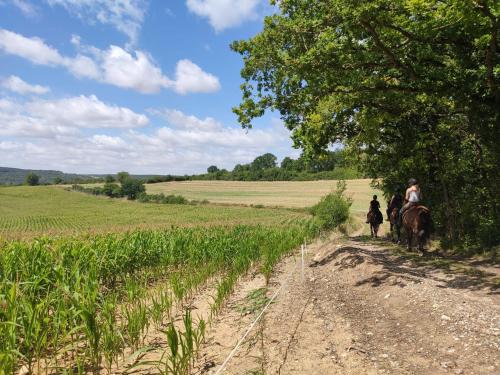 Goście zatrzymujący się w obiekcie Horse Cottage