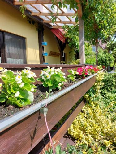 Pokoje Gościnne Iza