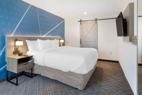 a hotel room with a large bed and a television at Comfort Inn & Suites US-60 in Mountain Grove
