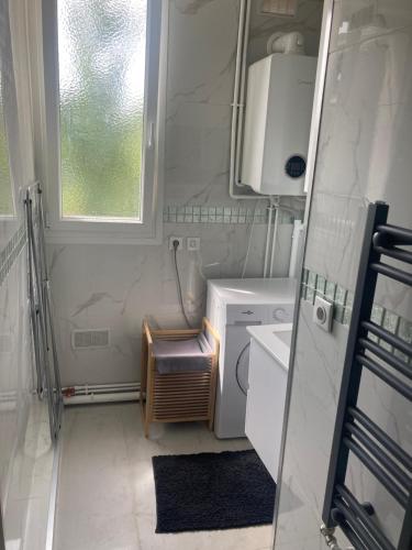 Un baño con lavabo y lavadora. en mon appartement en centre ville, en Le Pré-Saint-Gervais