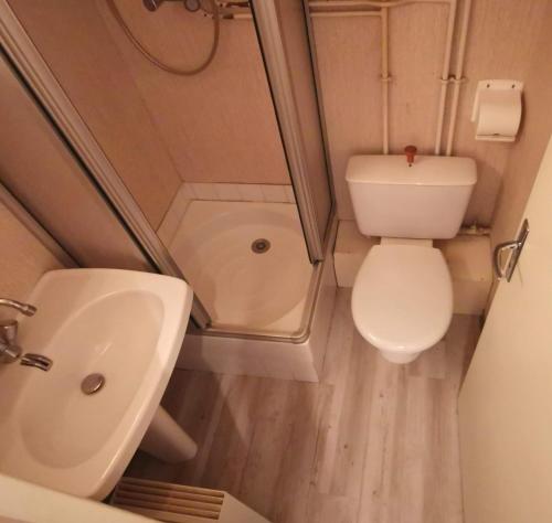 une petite salle de bain avec toilettes et lavabo dans l'établissement Appartement familial Duplex La Foux d'Allos au pied du télésiège, à Allos
