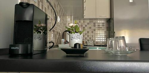 Kuchyň nebo kuchyňský kout v ubytování MF Apartment