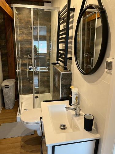 a bathroom with a sink and a toilet and a mirror at Apartamenty Kowary Centrum in Kowary