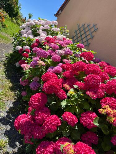 Photo de la galerie de l'établissement CATHERINE & DOMINIQUE, à Marigné-Laillé