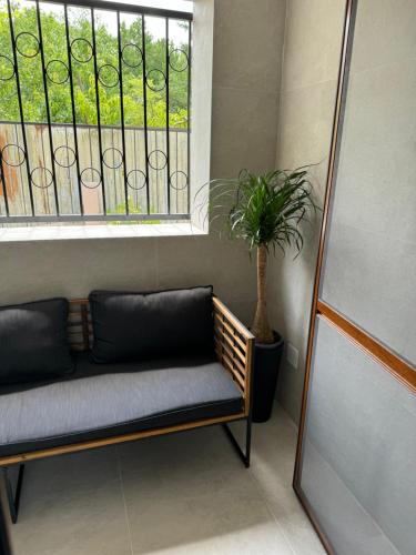a bench in front of a window with a potted plant at New York Pension in Dunajská Streda