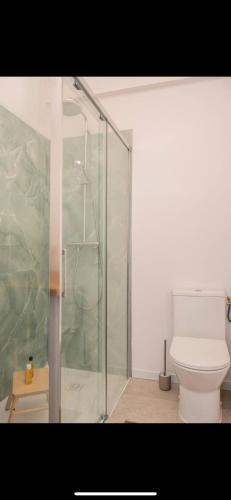 une salle de bain avec une douche en verre et des toilettes dans l'établissement Studio de luxe au cœur de Nice, à Nice