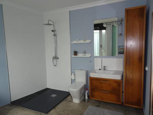 a bathroom with a toilet and a sink and a mirror at Pool House in La Santa