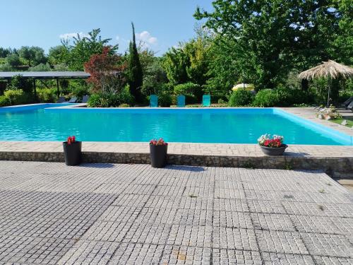 a swimming pool with two potted plants next to it at Quinta da Telheira in Vila Real