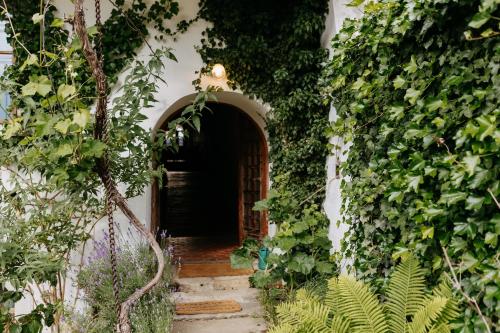 an entrance to a house with a hallway filled with plants at Penzion Telč No. 20 in Telč