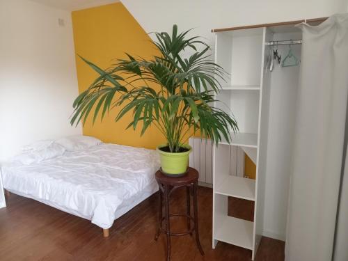 studio refait à neuf avec jardin partagé