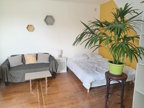 Photo de la galerie de l'établissement studio refait à neuf avec jardin partagé, à Amiens