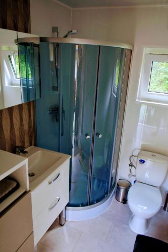 StuerにあるTinyhaus BLÜCHERのトイレとガラスのシャワー付きのバスルーム