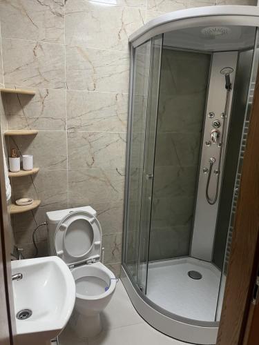 a bathroom with a shower and a toilet and a sink at VT6 House & Restaurant in Znojmo