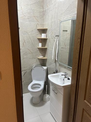 a bathroom with a toilet and a sink and a mirror at VT6 House & Restaurant in Znojmo