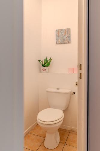 La salle de bains est pourvue de toilettes et d'une plante murale. dans l'établissement Atlantic Selection - Vue Canal - Avec balcon, 6 personnes, à Capbreton