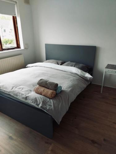 Gallery image of 3 Bedroom Renovated Home in Dublin