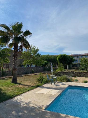 - une piscine avec une chaise et un palmier dans l'établissement Gîte - Le Relais d'Affiac, à Peyriac-Minervois