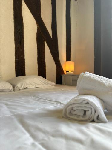 Gîtes Place Plumereau de Tours