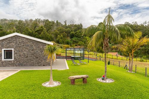 a park with two palm trees and a bench at Florenças House - Private Jacuzzi & Garden in Calheta
