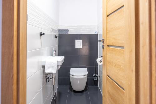 a small bathroom with a toilet and a sink at Miner's Lodge in Jáchymov