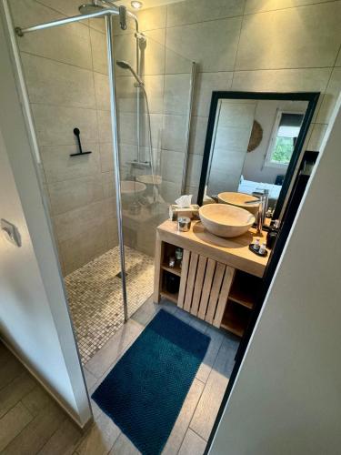 une salle de bain avec une douche, un lavabo et un miroir dans l'établissement La Crevette, à Villerville